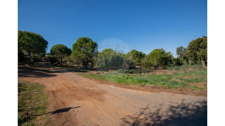 Quinta T0 para Venda em São Luis Foto 18
