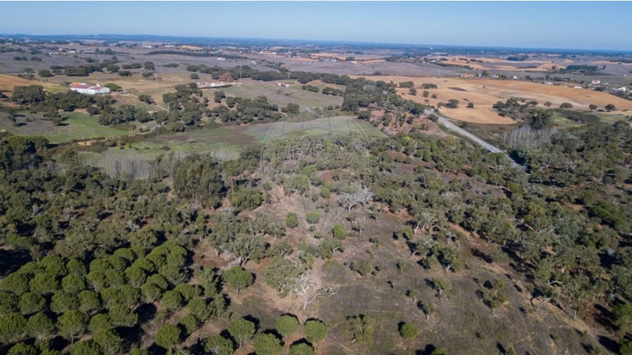 Quinta T0 para Venda em São Luis Foto 5