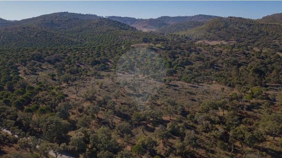 Quinta T0 para Venda em São Luis Foto 9