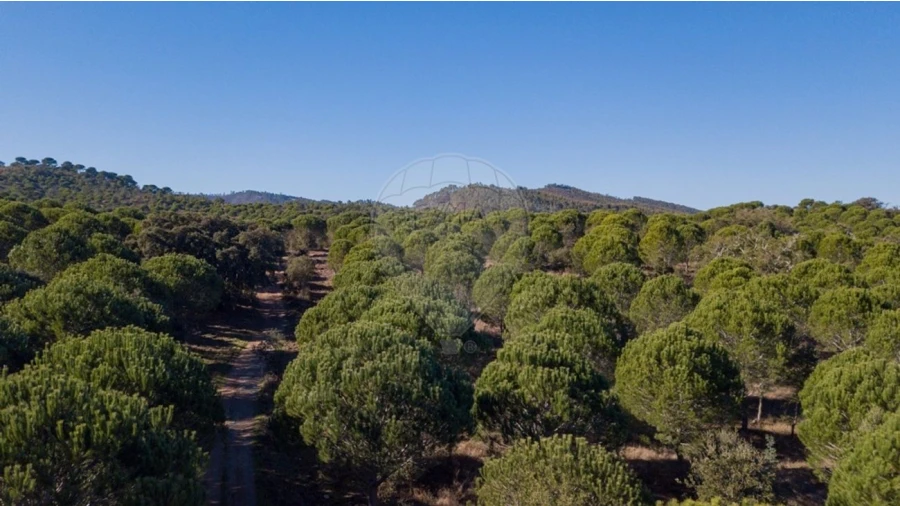 Quinta T0 para Venda em São Luis