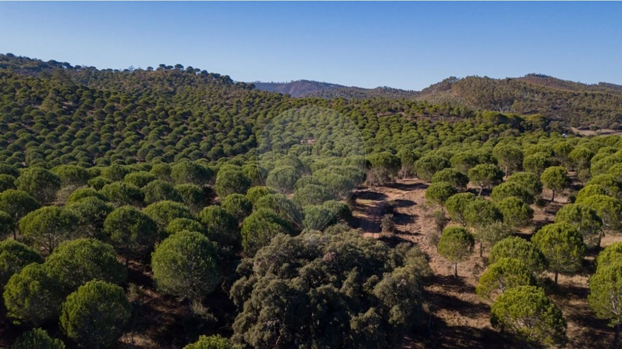 Quinta T0 para Venda em São Luis Foto 2
