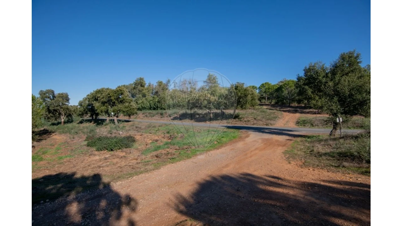 Quinta T0 para Venda em São Luis Foto 17