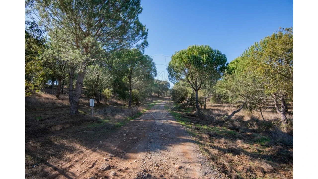 Quinta T0 para Venda em São Luis Foto 13