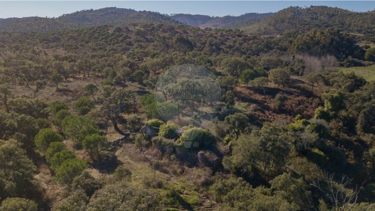 Quinta T0 para Venda em São Luis Foto 7