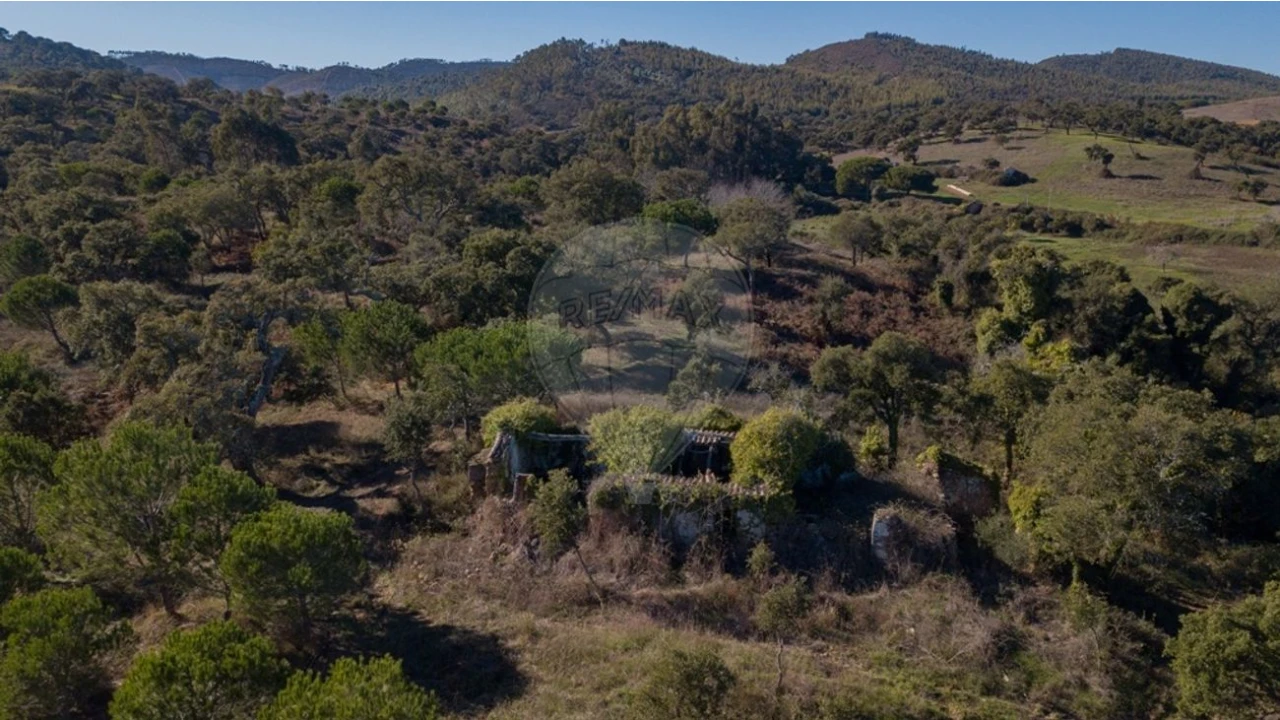 Quinta T0 para Venda em São Luis Foto 8