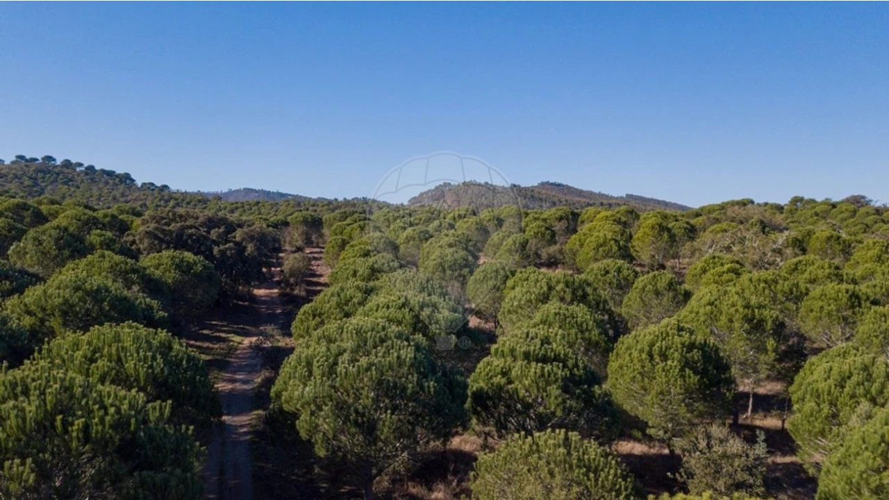 Quinta T0 para Venda em São Luis Foto 1