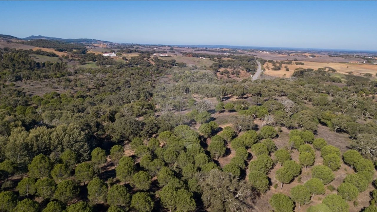 Terreno para Venda em São Luis Foto 16