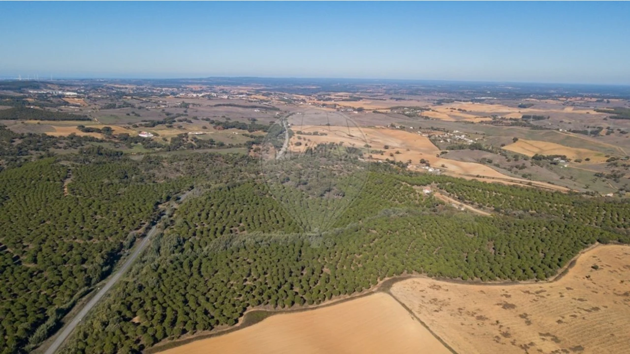 Terreno para Venda em São Luis Foto 5