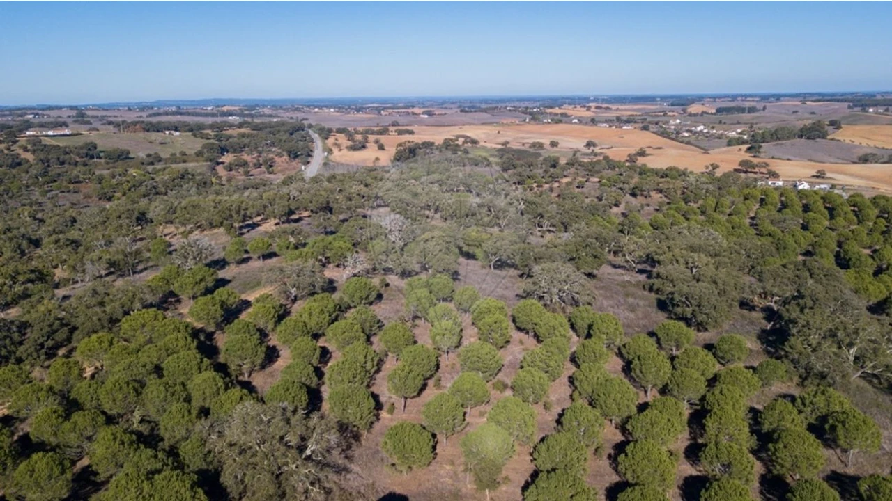Terreno para Venda em São Luis Foto 14