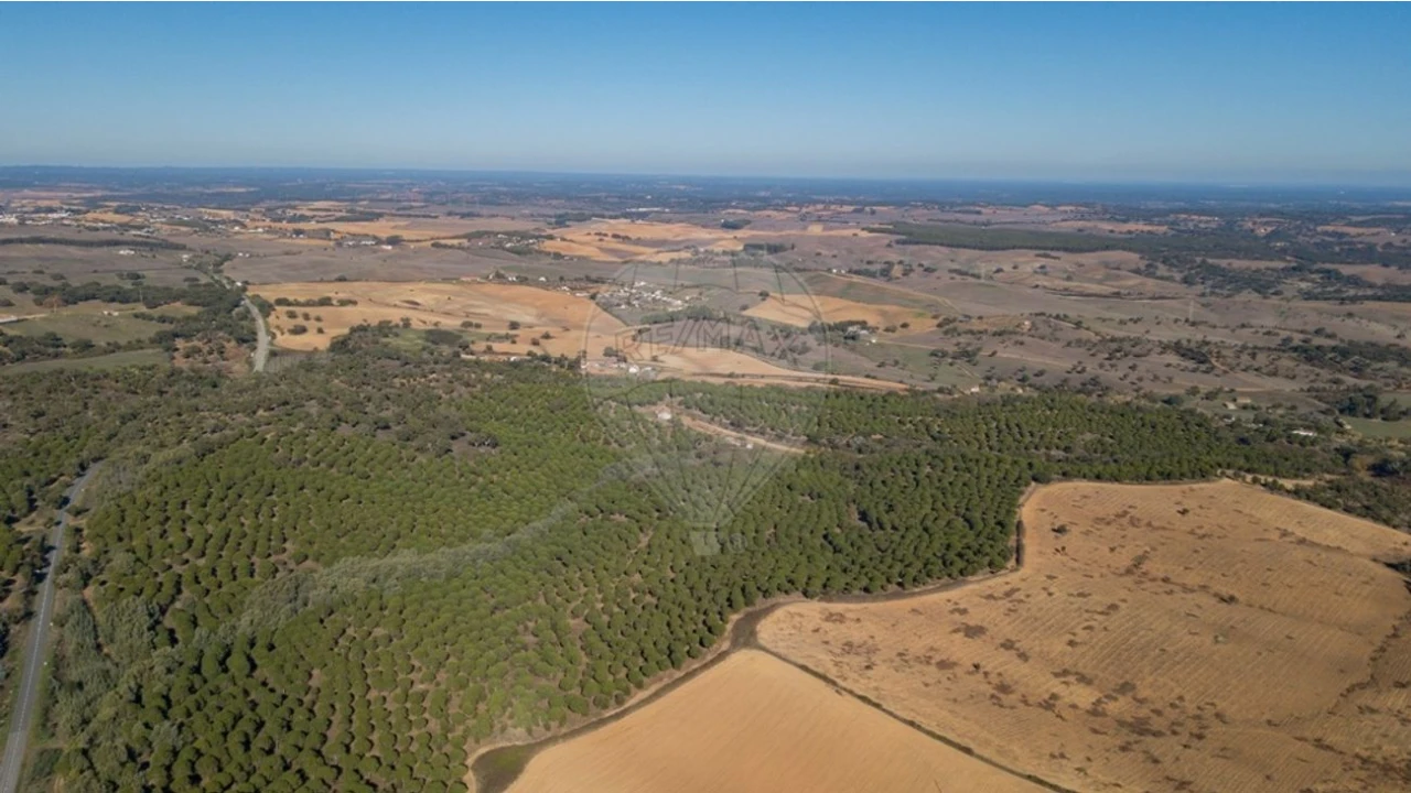 Terreno para Venda em São Luis Foto 4
