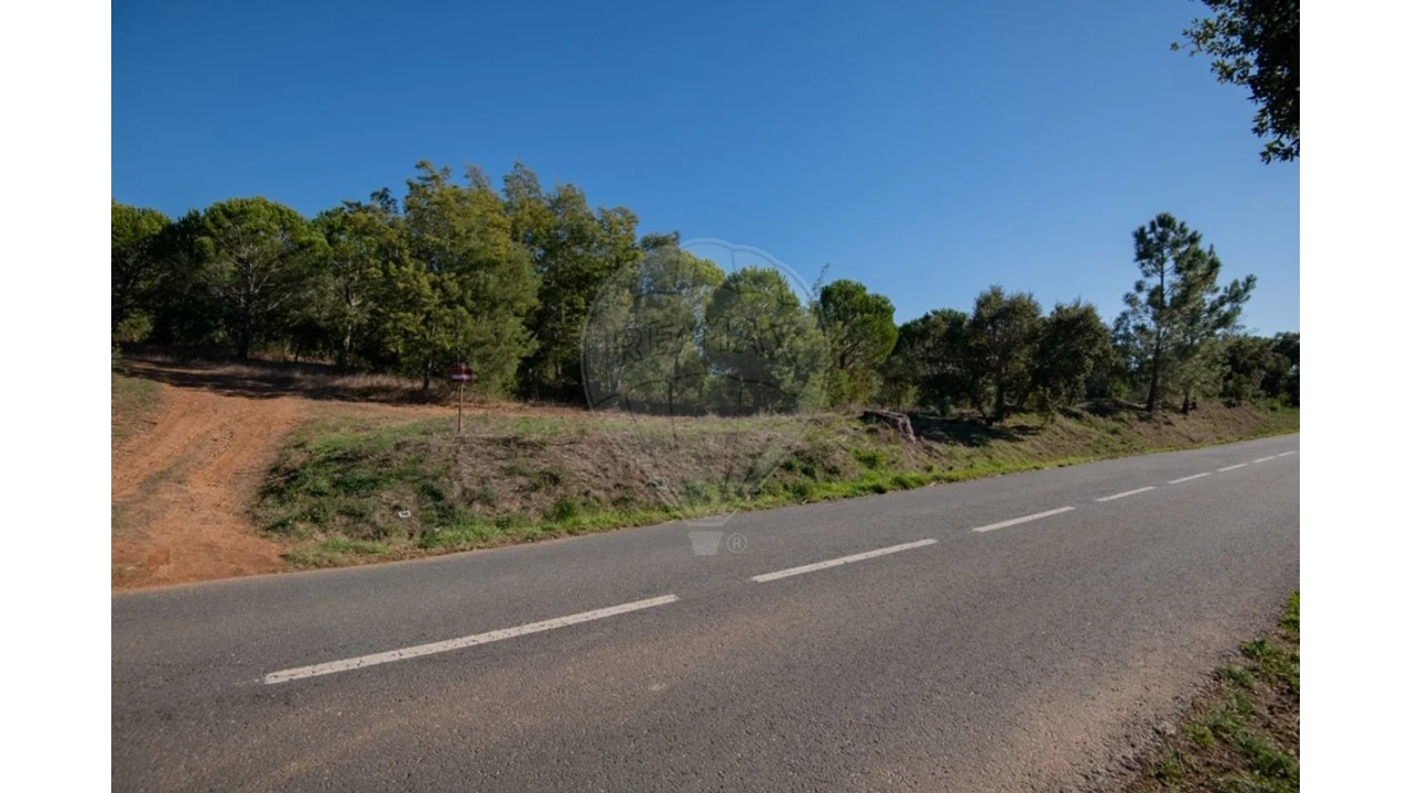 Terreno para Venda em São Luis Foto 18