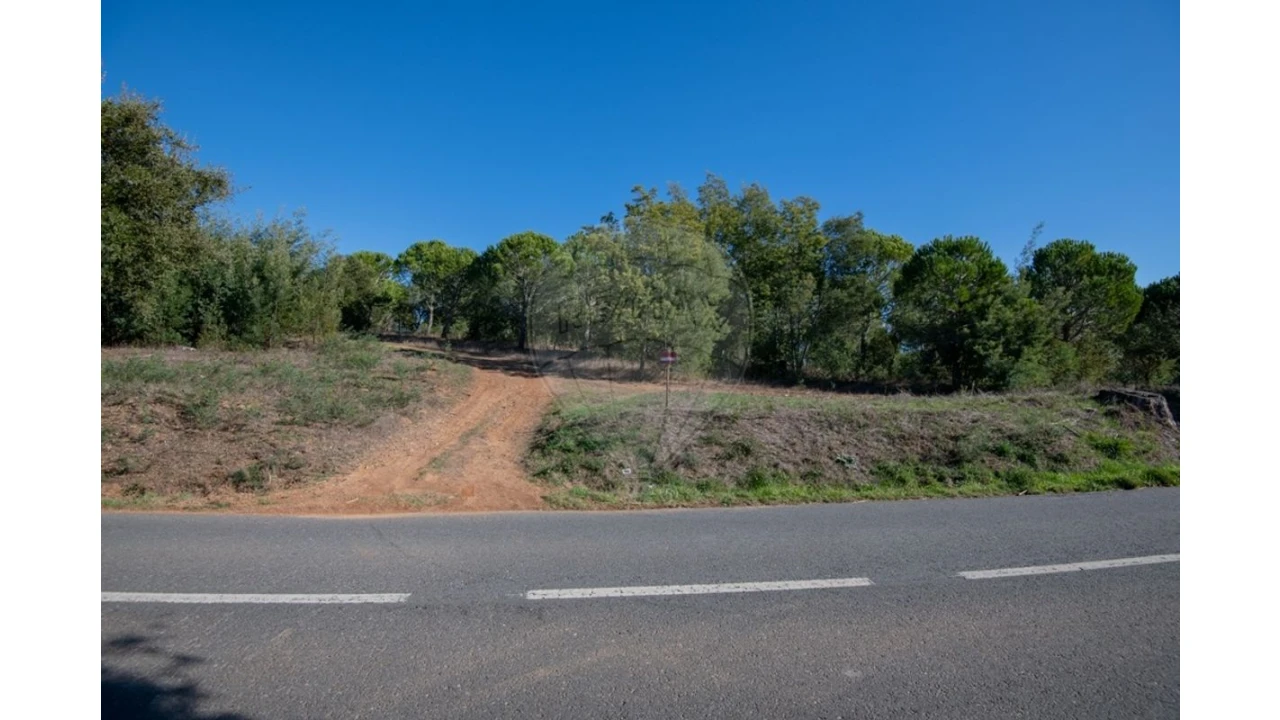 Terreno para Venda em São Luis Foto 3