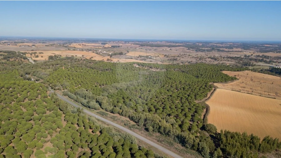 Terreno para Venda em São Luis Foto 19