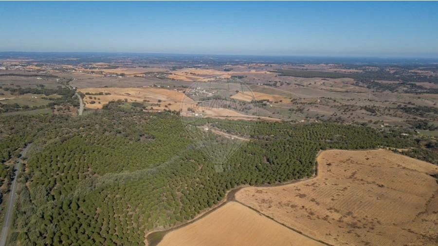 Terreno para Venda em São Luis Foto 4