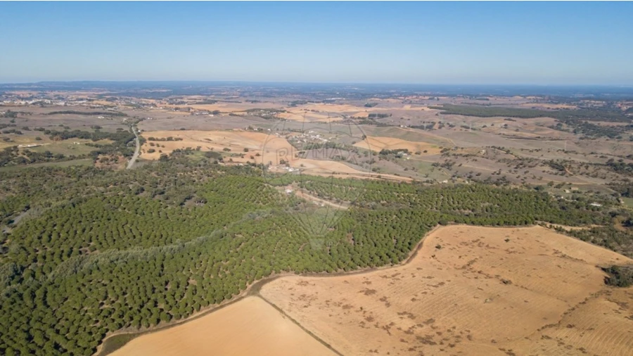 Terreno para Venda em São Luis Foto 6