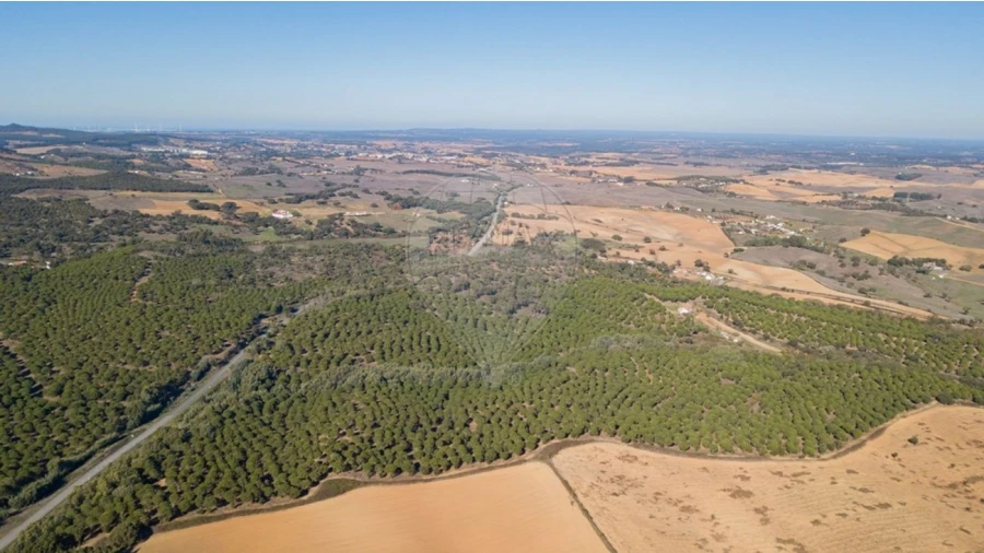 Terreno para Venda em São Luis Foto 7