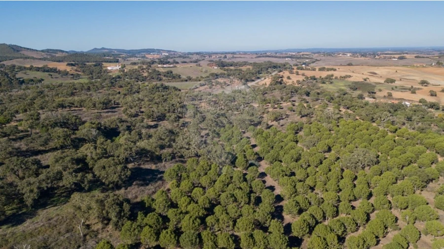 Terreno para Venda em São Luis Foto 12
