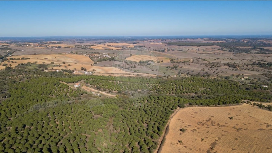 Terreno para Venda em São Luis Foto 9