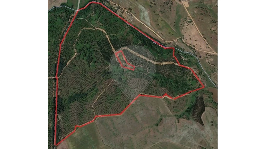 Terreno para Venda em São Luis Foto 2