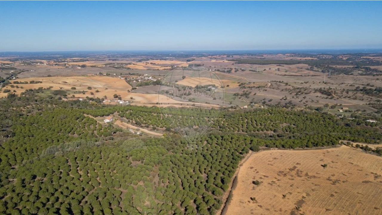 Terreno para Venda em São Luis Foto 9