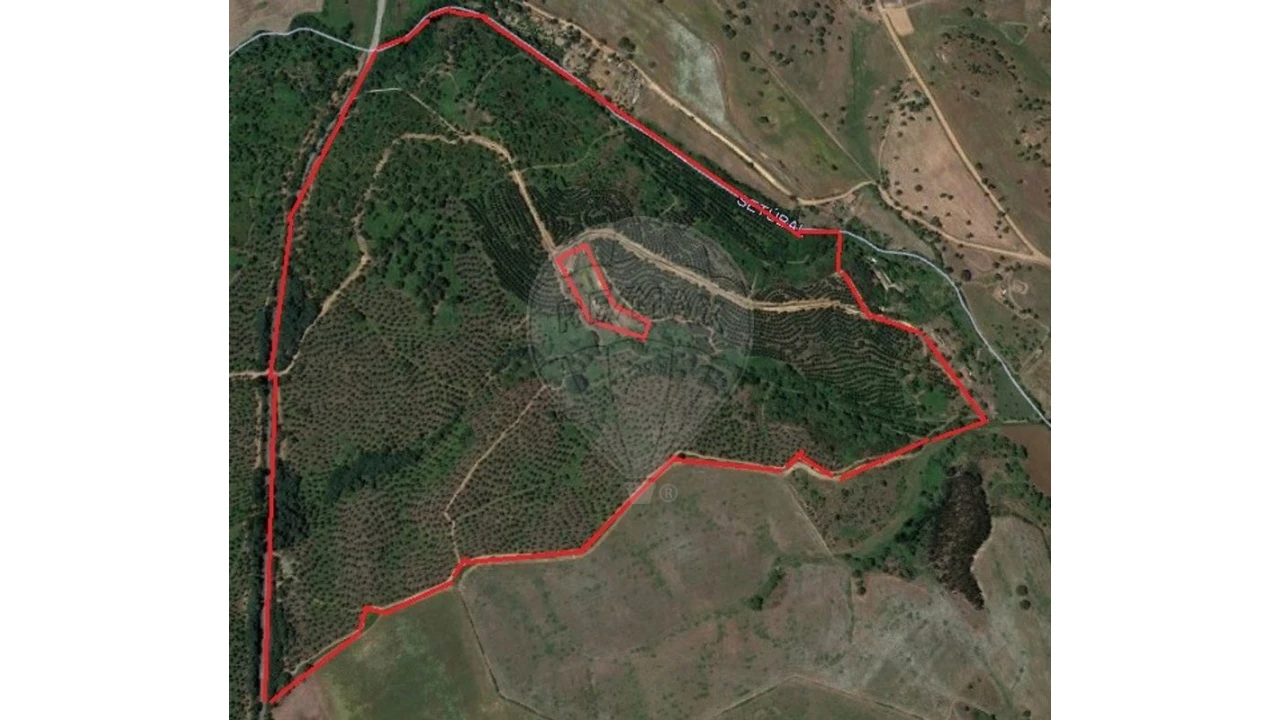 Terreno para Venda em São Luis Foto 2