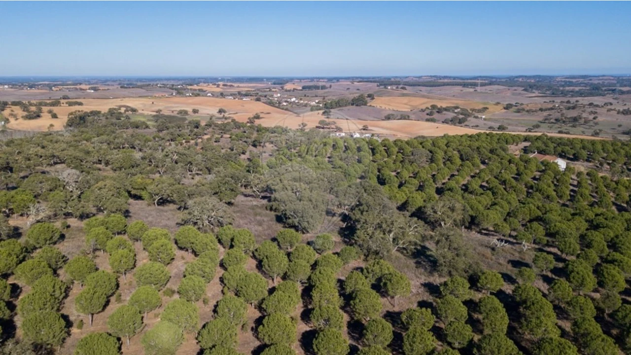 Terreno para Venda em São Luis Foto 15