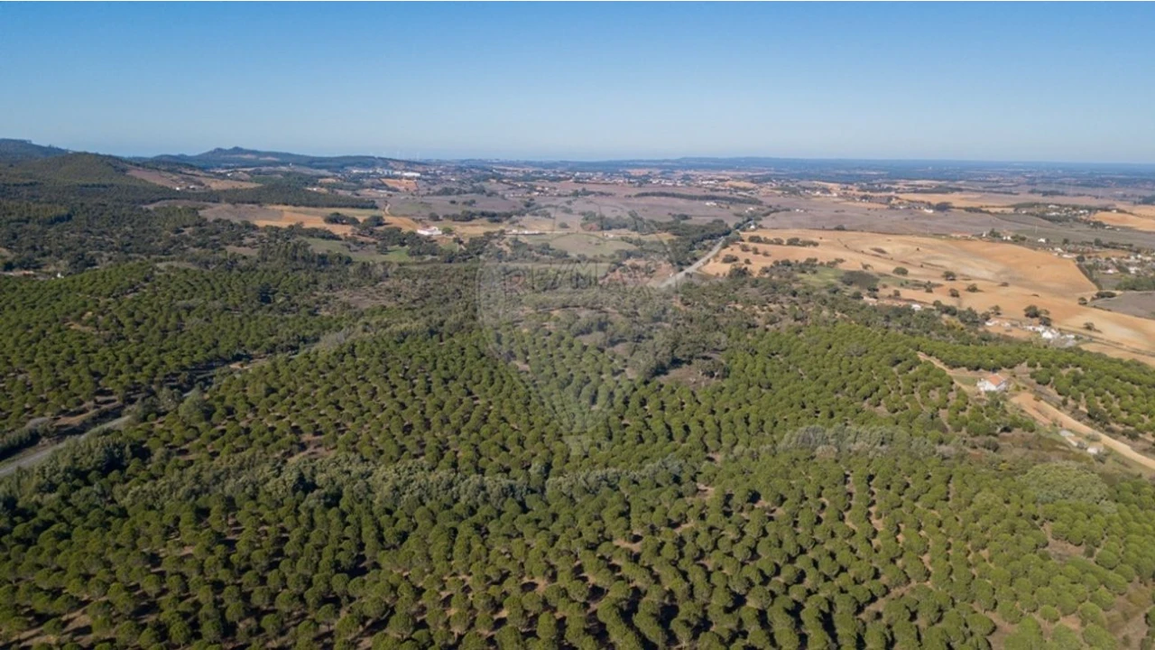 Terreno para Venda em São Luis Foto 8