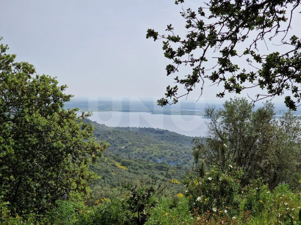 Terreno para Venda em Monsaraz Foto 6