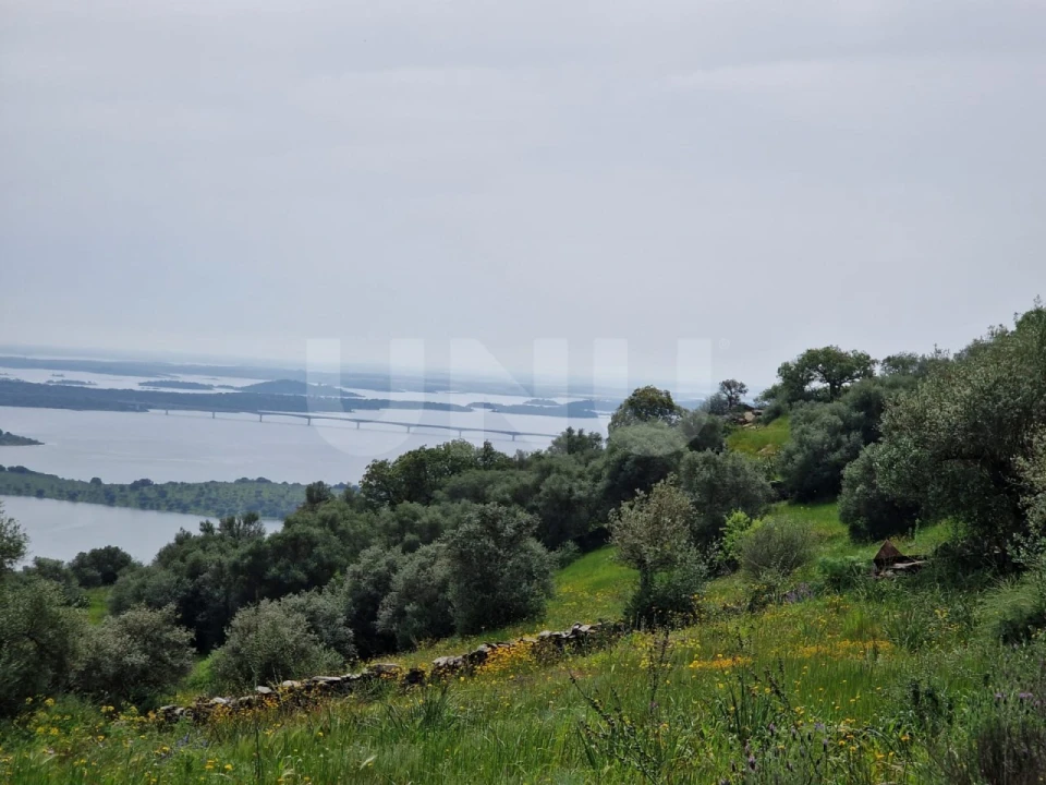 Terreno para Venda em Monsaraz Foto 5