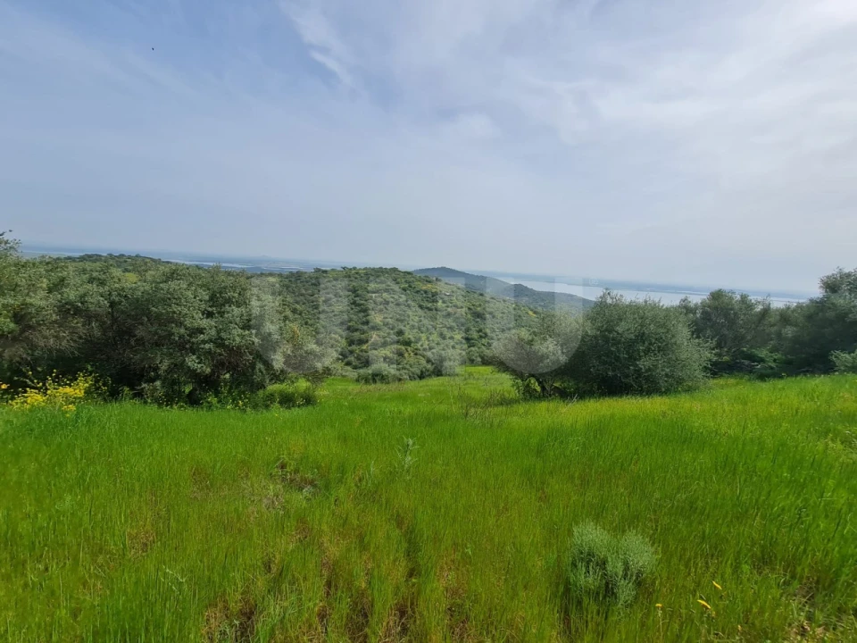 Terreno para Venda em Monsaraz Foto 8