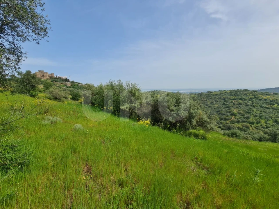 Terreno para Venda em Monsaraz Foto 10