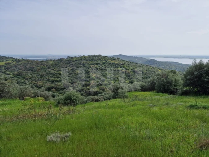 Terreno para Venda em Monsaraz Foto 4