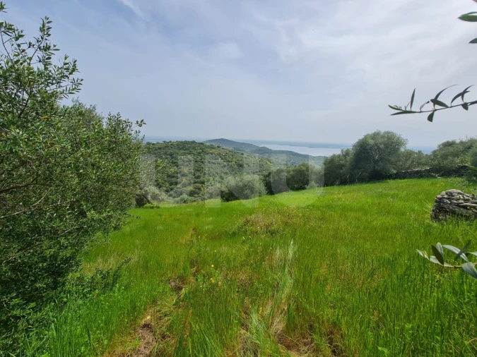 Terreno para Venda em Monsaraz Foto 9