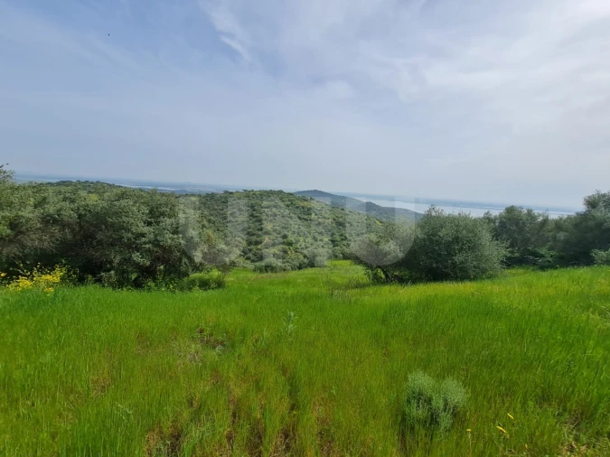 Terreno para Venda em Monsaraz Foto 8
