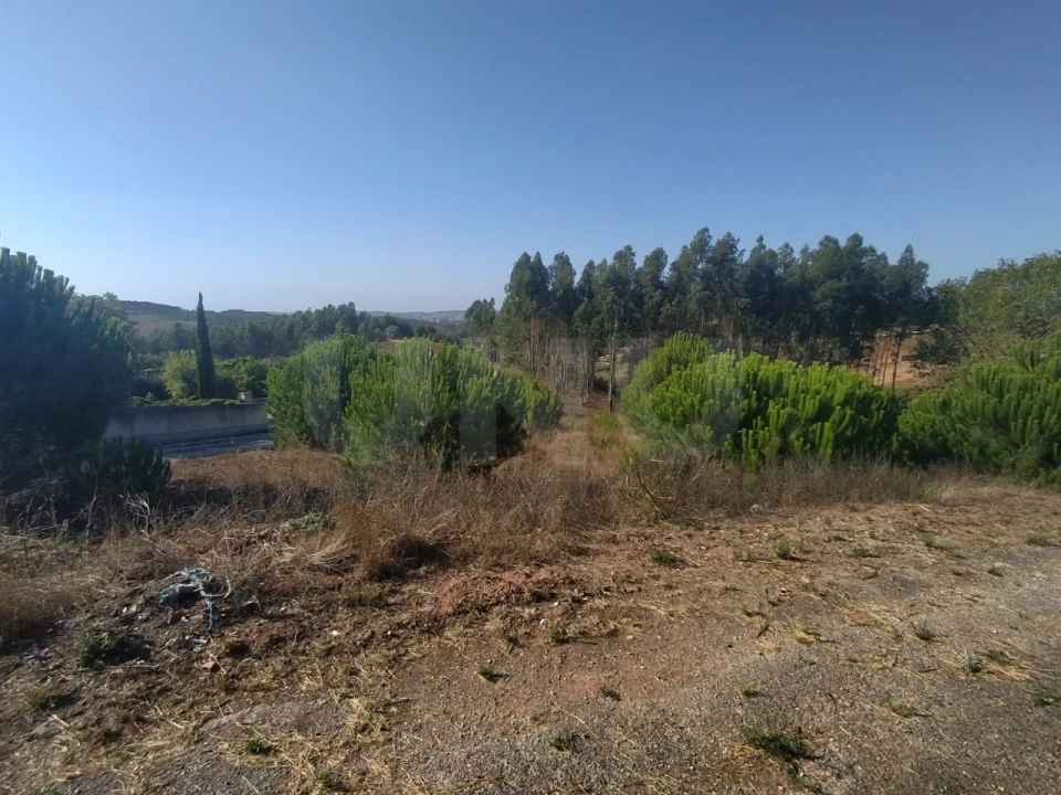 Terreno para Venda em Miragaia e Marteleira Foto 9