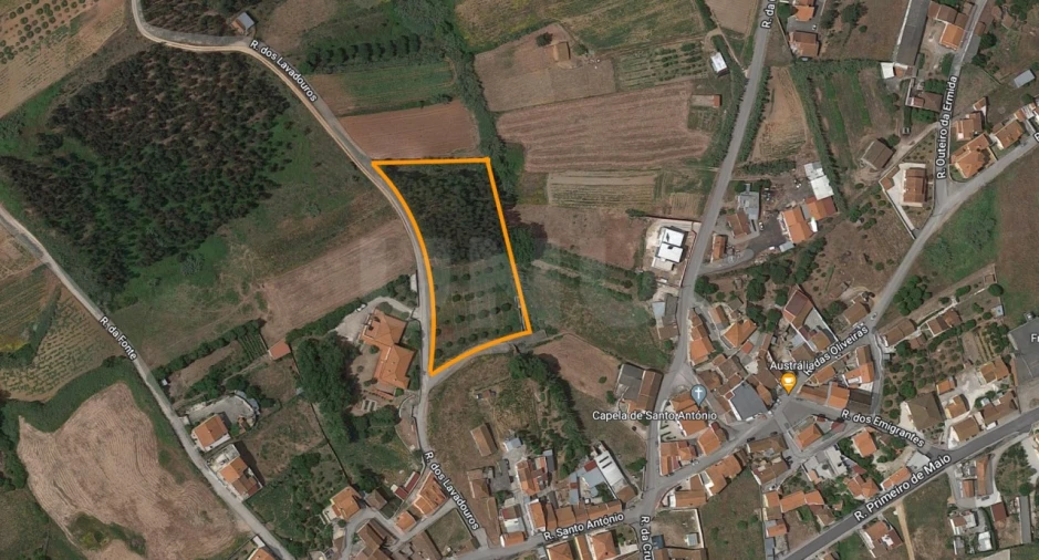 Terreno para Venda em Miragaia e Marteleira Foto 8