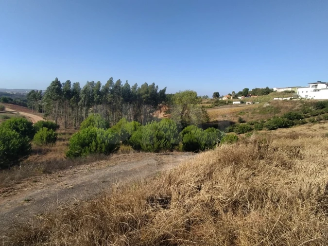 Terreno para Venda em Miragaia e Marteleira Foto 13