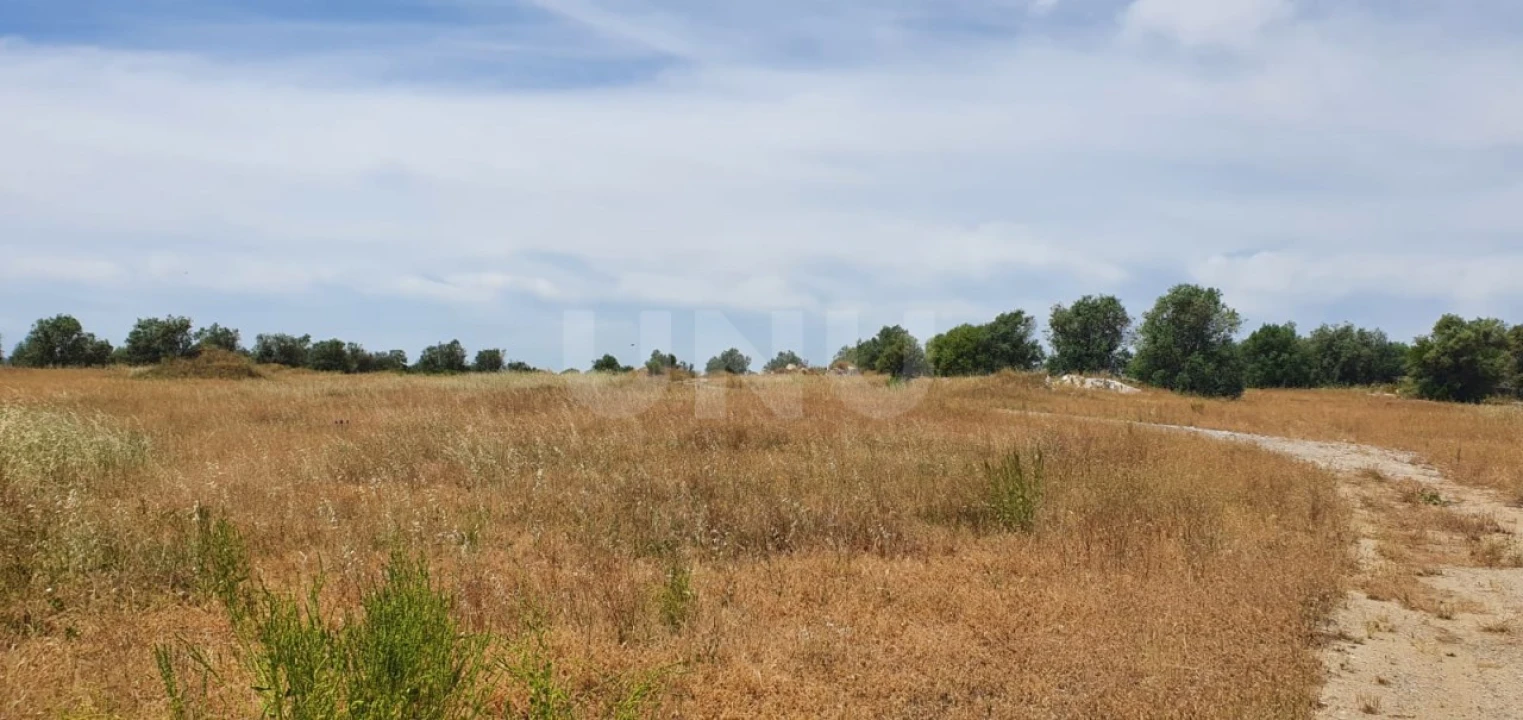 Terreno para Venda em Reguengos de Monsaraz Foto 3