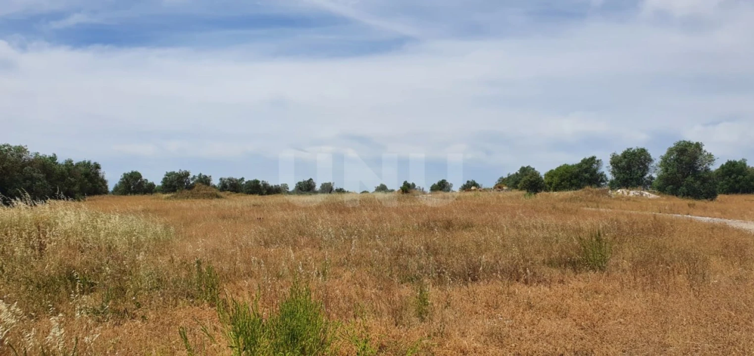 Terreno para Venda em Reguengos de Monsaraz Foto 6