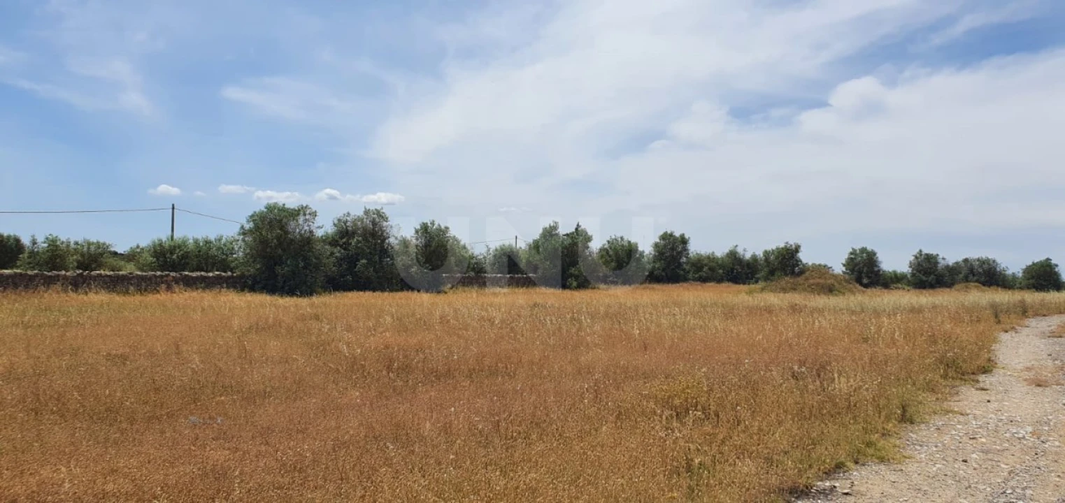 Terreno para Venda em Reguengos de Monsaraz Foto 2