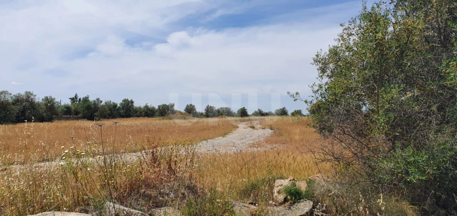 Terreno para Venda em Reguengos de Monsaraz Foto 4