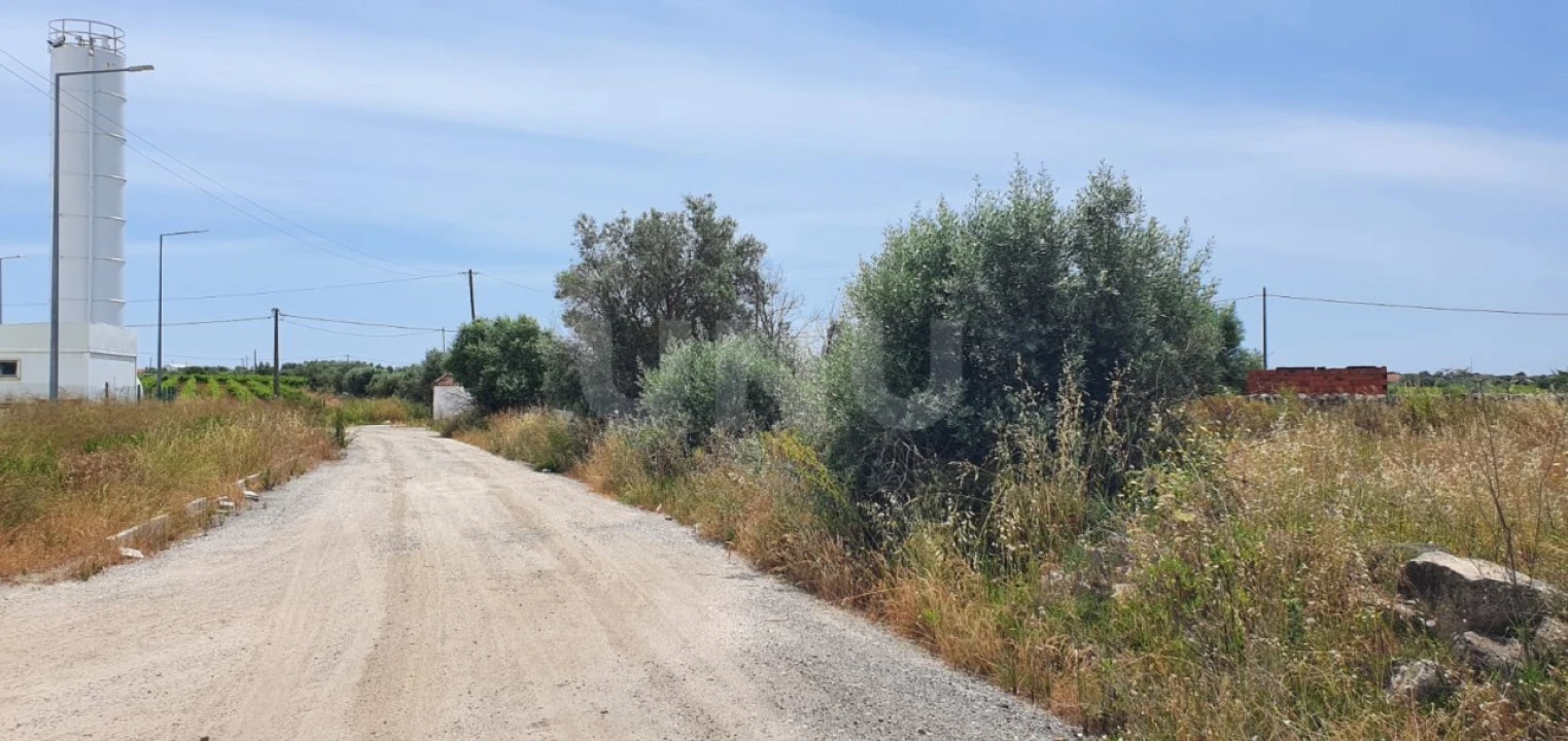 Terreno para Venda em Reguengos de Monsaraz Foto 10