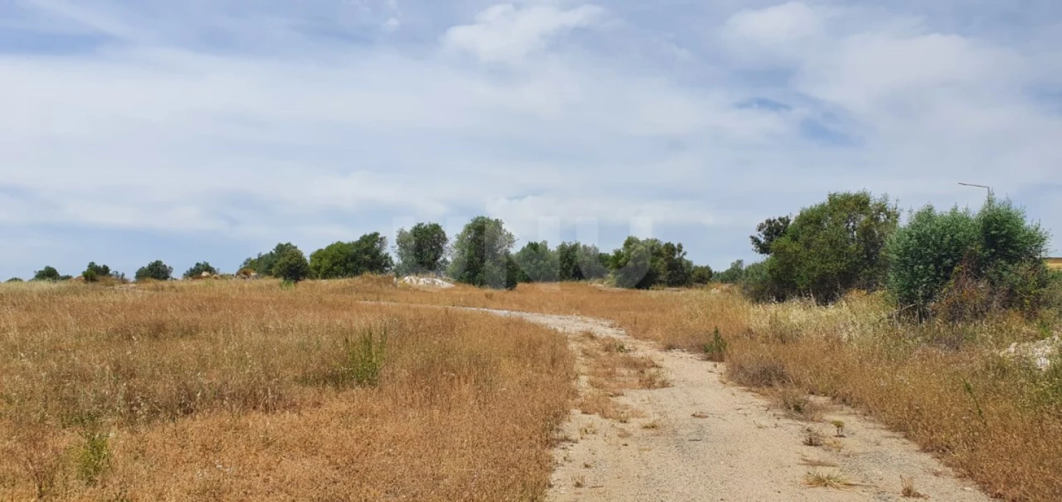 Terreno para Venda em Reguengos de Monsaraz Foto 13