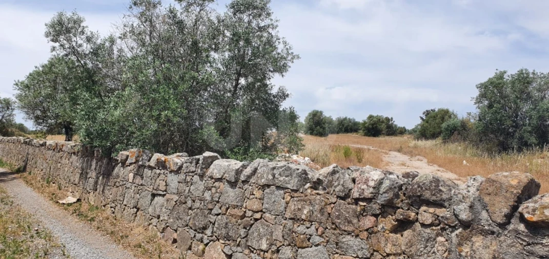 Terreno para Venda em Reguengos de Monsaraz Foto 5