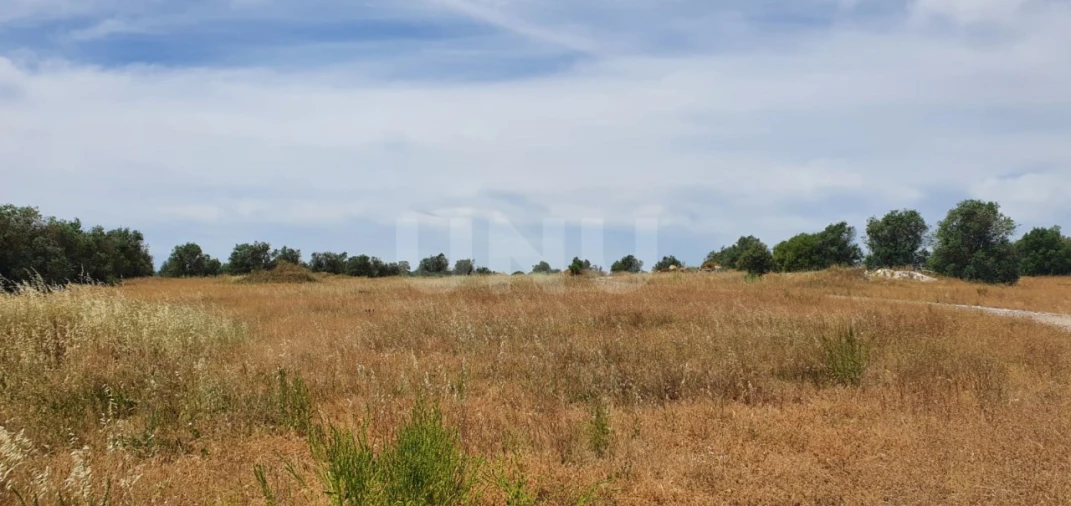 Terreno para Venda em Reguengos de Monsaraz Foto 6