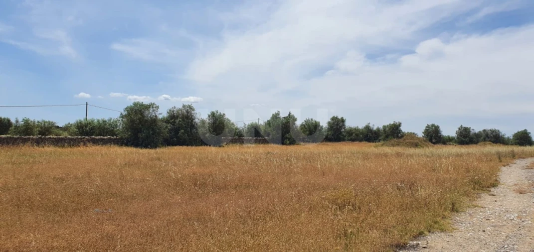 Terreno para Venda em Reguengos de Monsaraz Foto 2