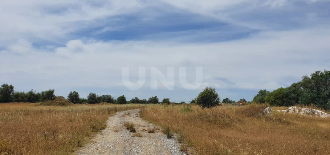 Terreno para Venda em Reguengos de Monsaraz Foto 7