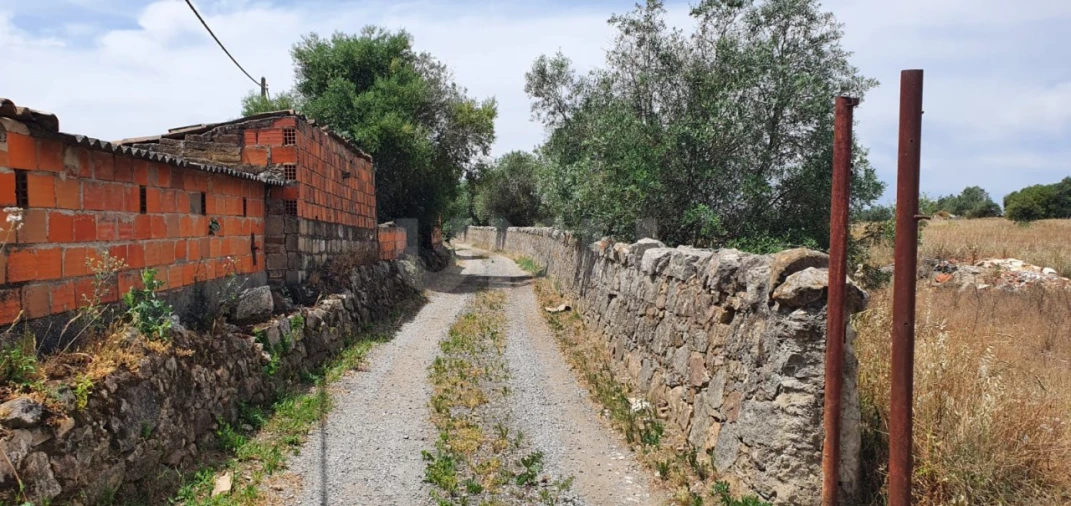 Terreno para Venda em Reguengos de Monsaraz Foto 9