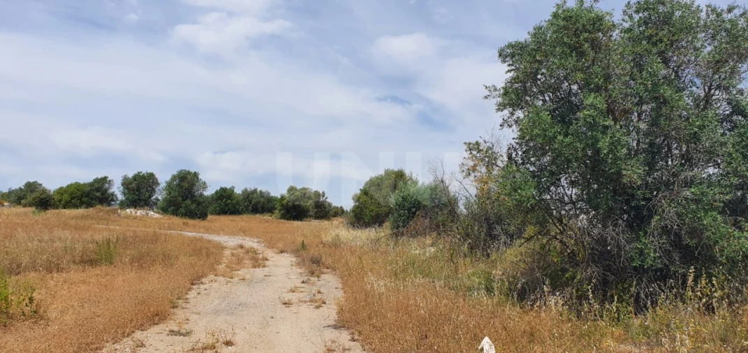 Terreno para Venda em Reguengos de Monsaraz Foto 12