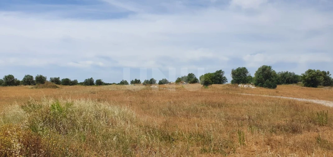 Terreno para Venda em Reguengos de Monsaraz Foto 11